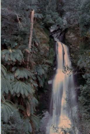 First Creek Falls, Eastern Victoria