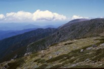 Mt Bogong and the Staircase spur, which I had just ascended